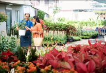 The Evolution of Urban Housing Design: Insights from Lentor Gardens Residences