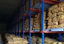 Understanding The Total Investment For Your Cold Storage Project